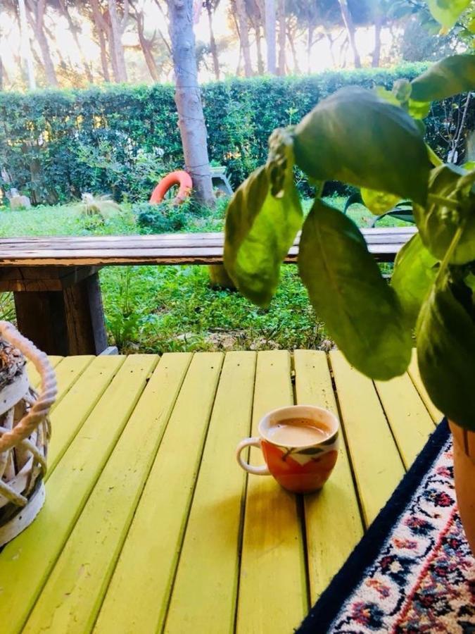 La Casa Di Nataly Bed & Breakfast Fregenae Ngoại thất bức ảnh
