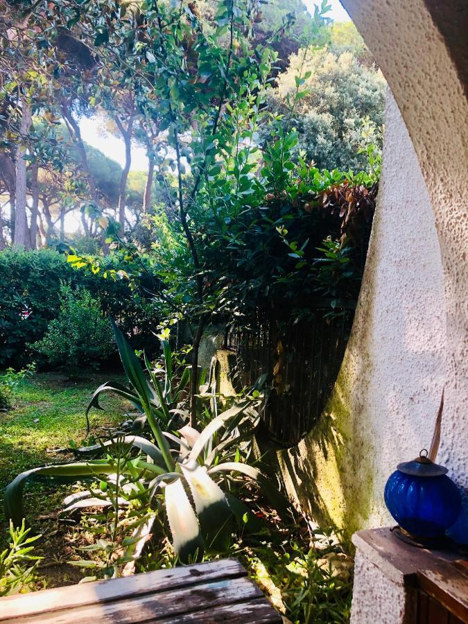 La Casa Di Nataly Bed & Breakfast Fregenae Ngoại thất bức ảnh