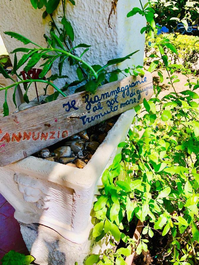 La Casa Di Nataly Bed & Breakfast Fregenae Ngoại thất bức ảnh